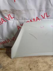 Капот SUBARU STELLA RN2 EN07D 57229KJ0009P 2 ракурс