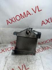 Интеркулер NISSAN CARAVAN CWMGE25 ZD30DDTI 14461VX100 5 ракурс Интеркулер NISSAN CARAVAN CWMGE25 ZD30DDTI 14461VX100 5 ракурс