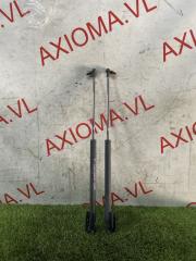 Амортизатор задней двери HONDA ODYSSEY RA5 J30A 74820SX0305, 74870SX0305 1 ракурс
