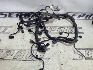 Проводка двигателя Skoda Rapid 2016