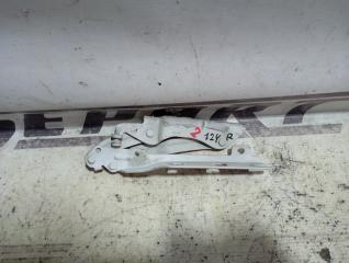 Петля капота правая Volkswagen Golf GTI 2010