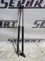 Амортизаторы двери багажника Volkswagen Tiguan 2014