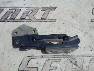 Петля капота правая Volkswagen Touran 2011