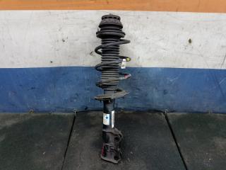 Амортизатор подвески передний правый Kia Picanto 3 2017