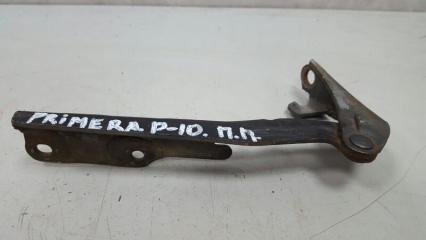 Петля капота передняя правая Nissan Primera 1992 Б/У Петля капота передняя правая Nissan Primera 1992
