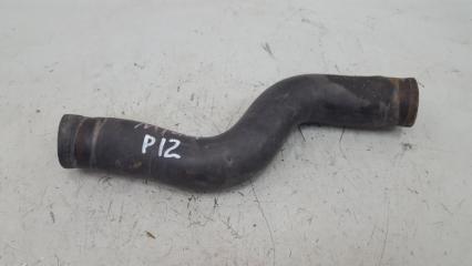 Патрубок радиатора системы охлаждения Nissan Primera 2003 Б/У Патрубок радиатора системы охлаждения Nissan Primera 2003