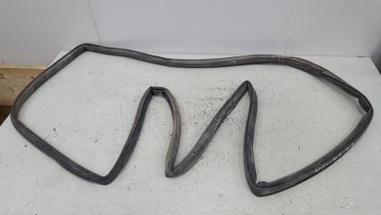 Уплотнительная резинка проема двери задняя левая Nissan Maxima 1997