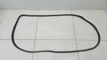 Уплотнительная резинка проема двери задняя правая Nissan Maxima 1997