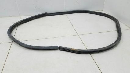 Уплотнительная резинка проема двери задняя левая Nissan Primera 2003