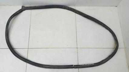 Уплотнительная резинка проема двери передняя правая Nissan Primera 2003