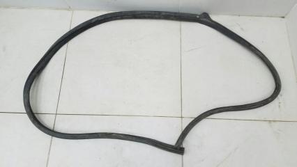 Уплотнительная резинка проема двери задняя правая Nissan Primera 2003