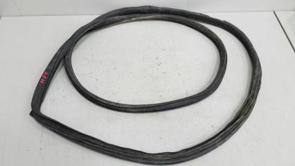 Уплотнительная резинка проема двери Nissan Skyline 2005