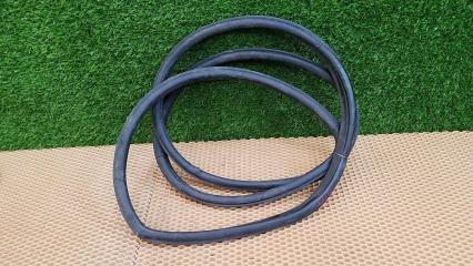 Уплотнительная резинка проема двери задняя правая Nissan Teana 2008