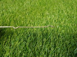 Щуп масляный Almera 2003 N16 QG18DE 1.8л