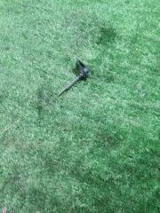 Запчасть датчик температуры воздуха Volkswagen Polo 2006