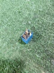 Реле Tucson 2008 JМ G4GC