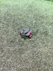 Фото запчасти концевик двери Nissan Almera 2013 Б/У запчасть Запчасть концевик двери Nissan Almera 2013