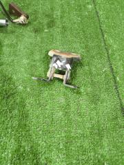 Фото запчасти петля двери задняя правая Great Wall Hover 2011 Б/У запчасть Запчасть петля двери задняя правая Great Wall Hover 2011