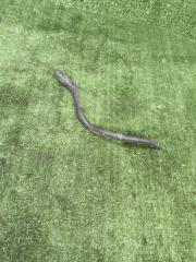 Запчасть трубка системы охлаждения Exeed LX 2022