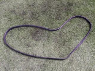 Ремень ручейковый BMW Z4 2006