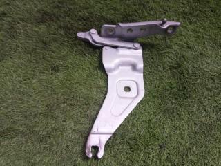 Петля капота левая BMW X6 2011 контрактная Петля капота левая BMW X6 2011