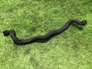 Трубка вентиляционная левая BMW X5 2011 контрактная Трубка вентиляционная левая BMW X5 2011