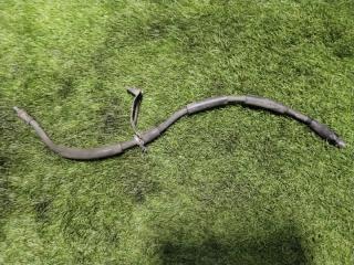 Шланг тормозной BMW X5 2011