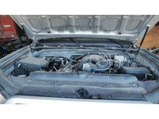 Защита под капот Toyota 4Runner 2010