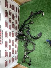 Проводка ДВС Lexus RX350 2009