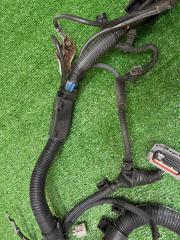 Проводка ДВС RX350 2009 GGL15L 2GR-FE Проводка ДВС RX350 2009 GGL15L 2GR-FE