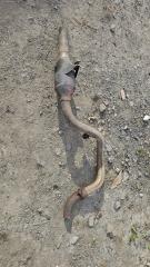 Глушитель Lexus GX470 2006