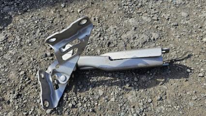 Петля капота MAZDA AXELA BM5FP P5