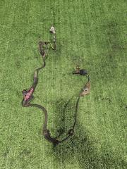 Датчик ABS передний правый Lexus GX460 2010 контрактная Датчик ABS передний правый Lexus GX460 2010