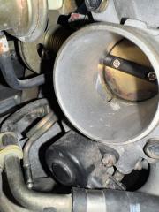 Двигатель EXPERT W11 QG18DE