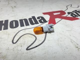 Патрон фонаря задний Honda Civic 2008