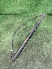 Амортизатор крышки багажника левый BMW X3 контрактная Амортизатор крышки багажника левый BMW X3