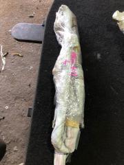 Airbag крыши левый Toyota Camry 2008