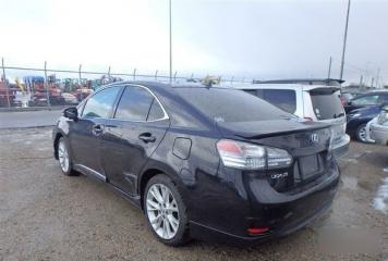 Rear cut LEXUS HS250h 2010