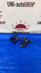 Петля двери задняя правая HONDA FIT 2020