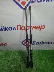 Запчасть амортизатор багажника задний TOYOTA COROLLA SPACIO 2003