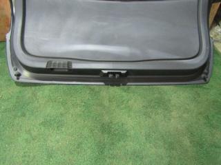 Дверь задняя  TOYOTA   COROLLA FIELDER   NKE165        3 ракурс