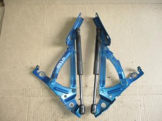 Петля капота  MAZDA   AXELA   BL5FP        1 ракурс