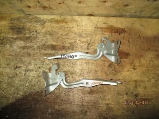 Петля капота  MAZDA   DEMIO   DY3W        1 ракурс