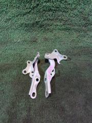Петля капота  TOYOTA   AVENSIS   AZT251        1 ракурс