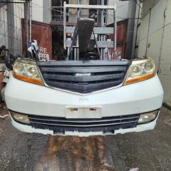 Nose cut  HONDA   ELYSION   RR2RR1RR3RR4        1 ракурс