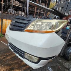 Nose cut  HONDA   ELYSION   RR2RR1RR3RR4        3 ракурс