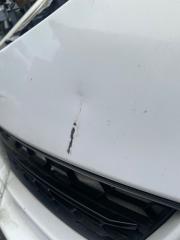 Nose cut  MAZDA   ATENZA   GH5FS   L5     3 ракурс