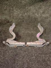 Петля капота  TOYOTA   ESTIMA   ACR30        1 ракурс