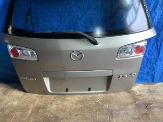 Дверь задняя  MAZDA   DEMIO   DY5W        2 ракурс