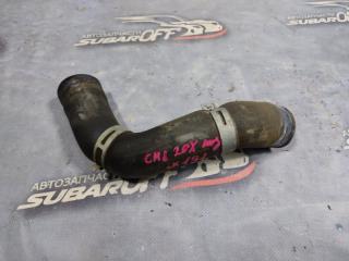 Патрубок радиатора Subaru Impreza 2008